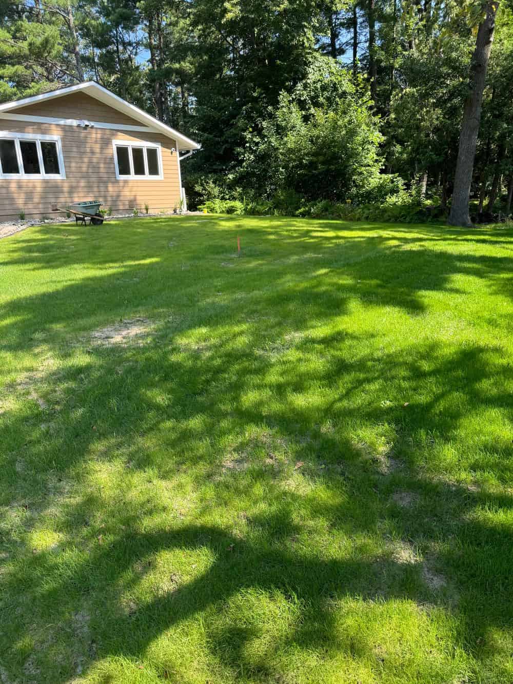 Hydroseeding image