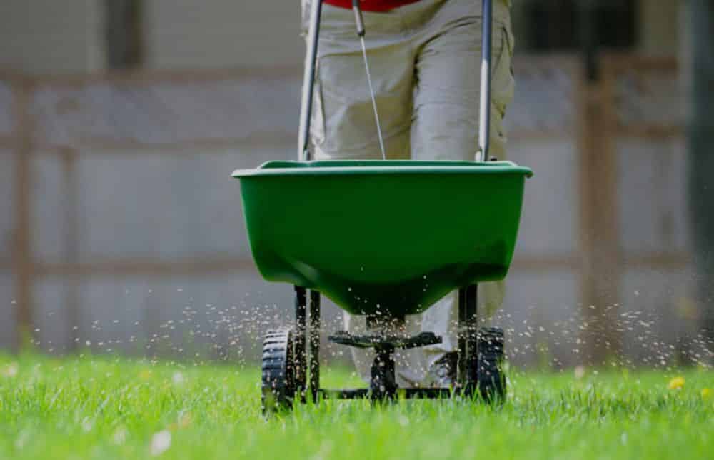 Lawn Fertilizing image
