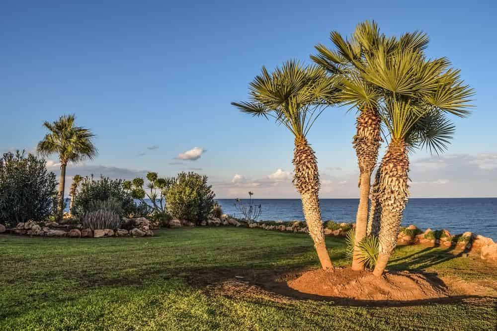Landscaping image