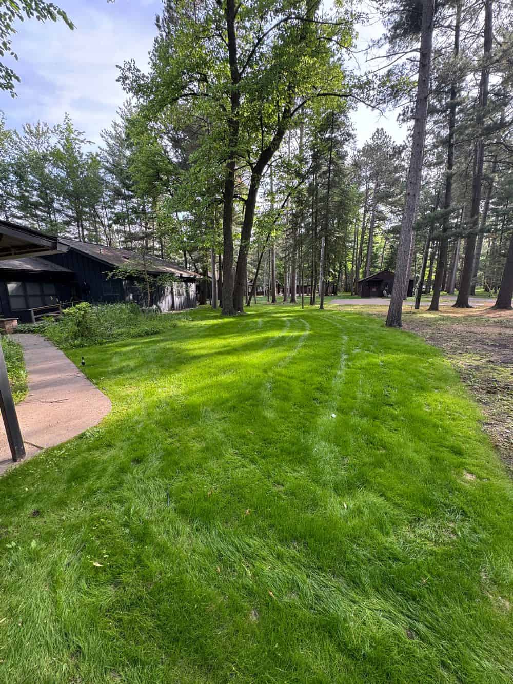 Hydroseeding image