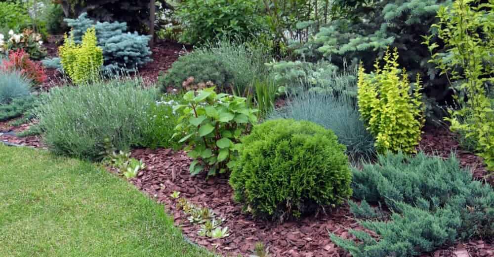Landscaping image
