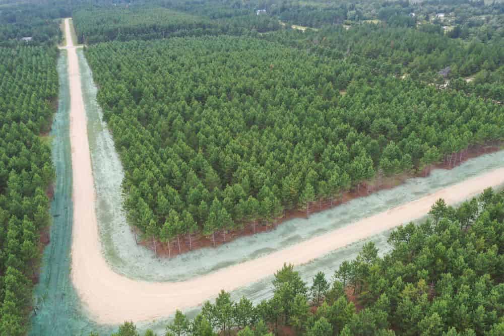 Erosion Control image