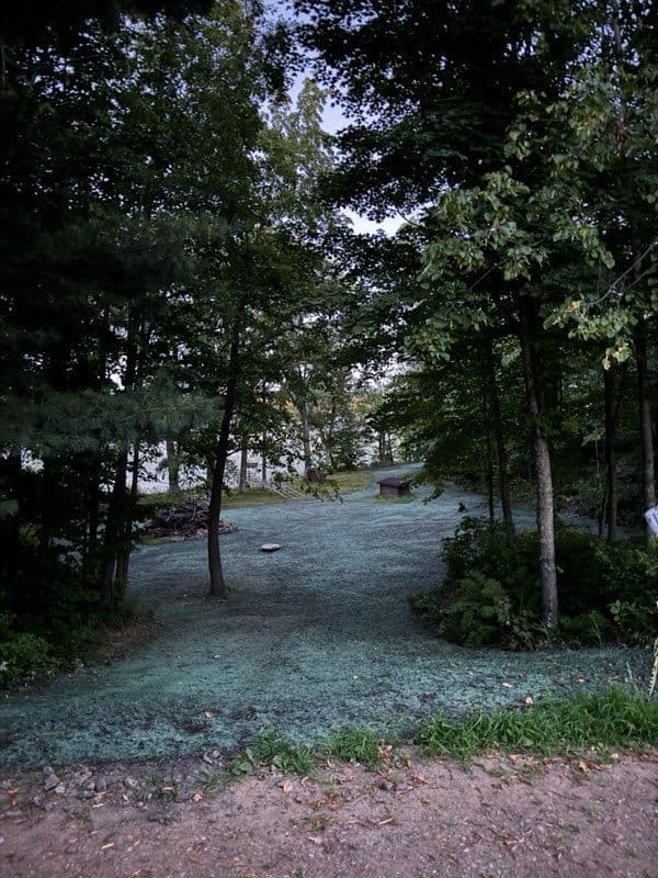 Gallery photos for Thriving Lawn Project in Crosby Minnesota: Image #1