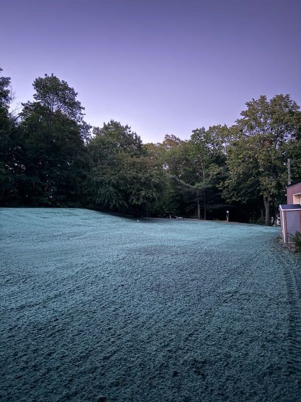 Gallery photos for Thriving Lawn Project in Crosby Minnesota: Image #2