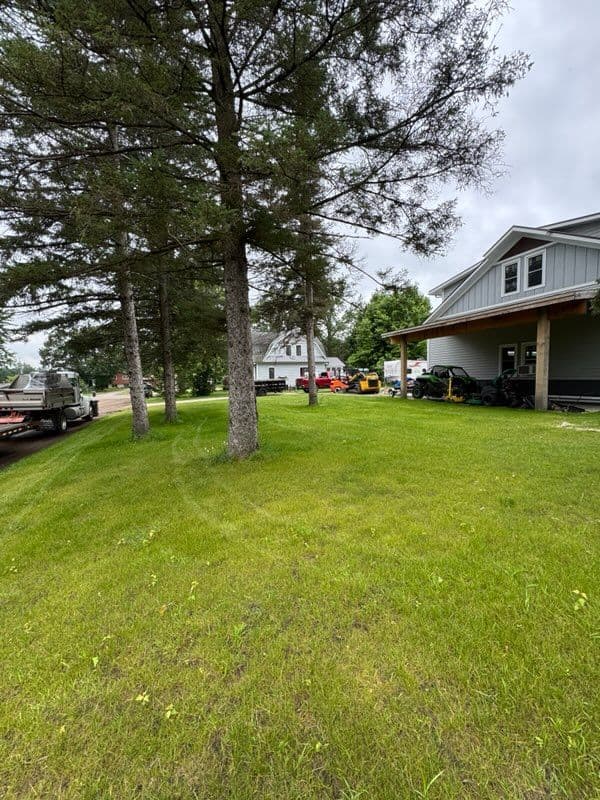 Transform Your Lawn with Hydroseeding Success