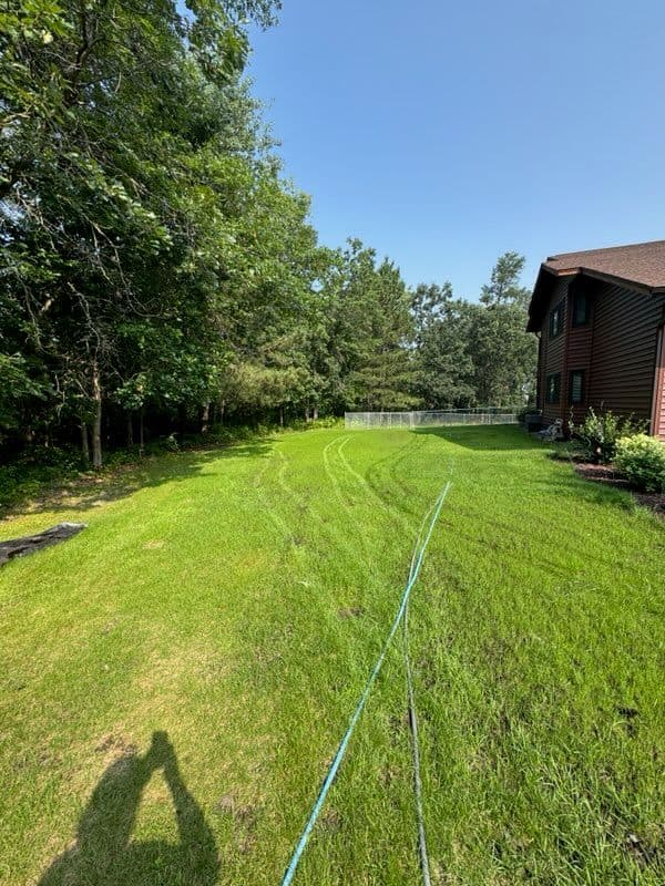 Transform Your Lawn with Hydroseeding Success