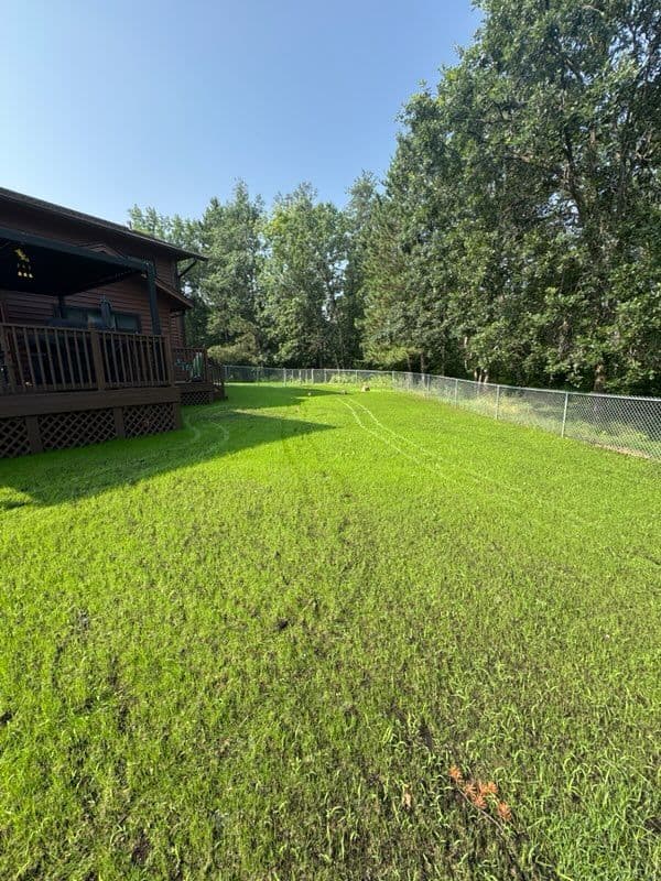 Transform Your Lawn with Hydroseeding Success