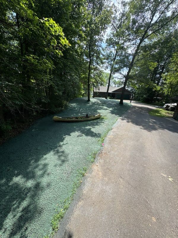 Transforming Landscapes with Precision Hydroseeding