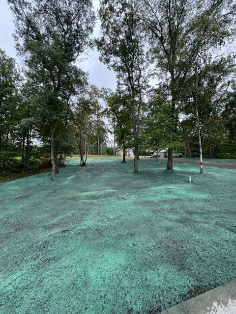 Project Hydroseeding Success in Pillager MN image