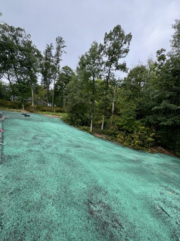 Gallery photos for Hydroseeding Success in Pillager MN: Image #1
