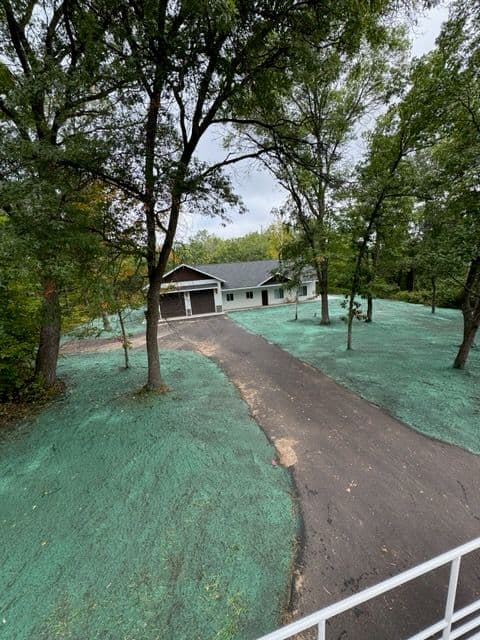Gallery photos for Hydroseeding Success in Pillager MN: Image #3