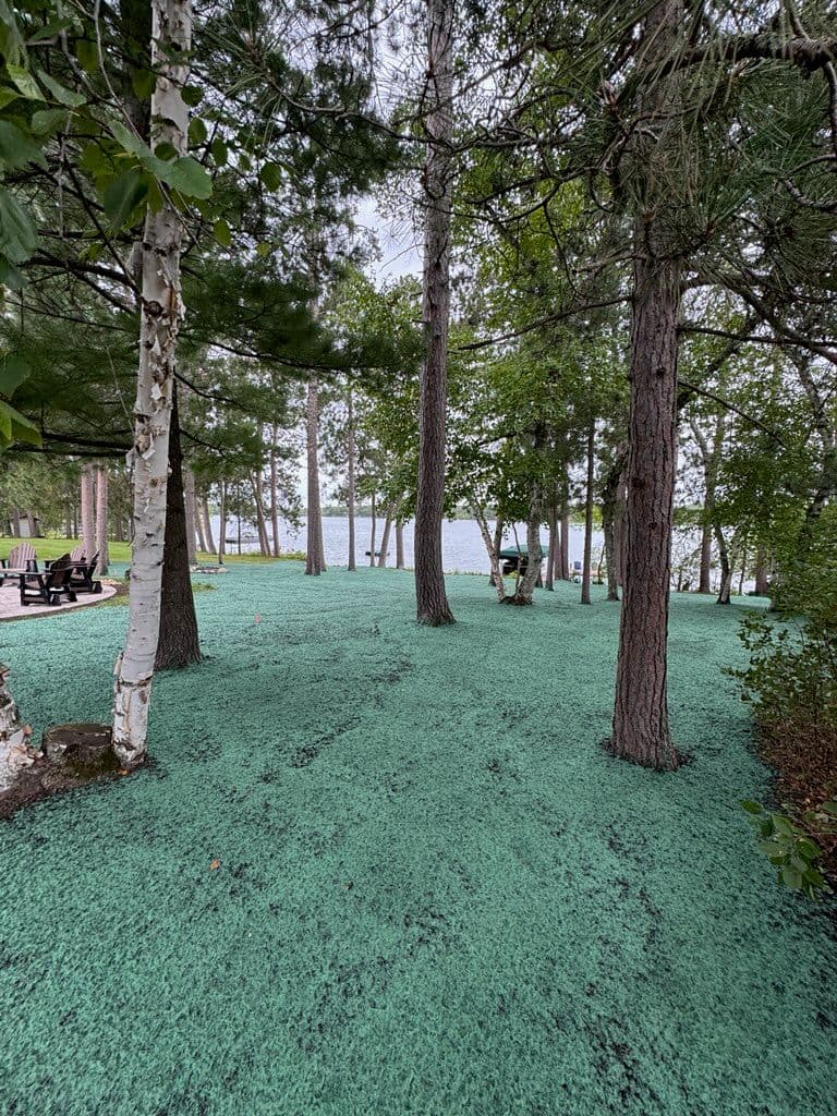 Creating Lush Waterfront Lawns with Hydroseeding image