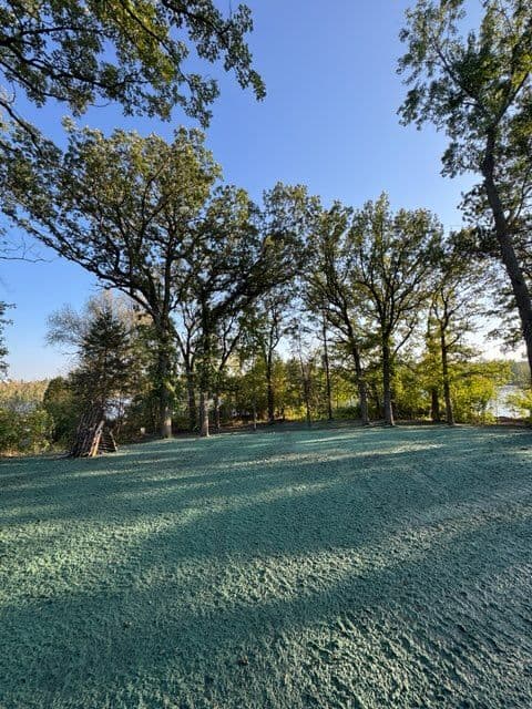 Gallery photos for Hydroseeding Success in Saint Joseph's MN: Image #1