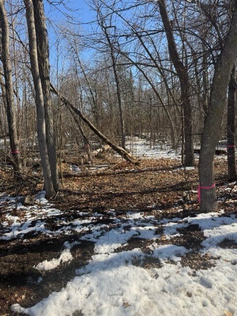 Transformative Landscaping Project in East Gull Lake