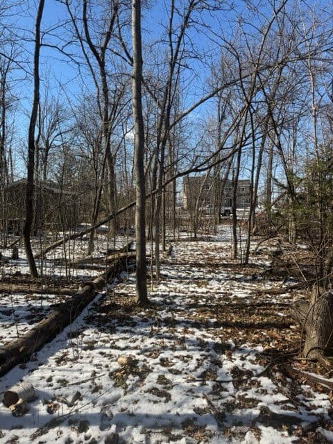 Transformative Landscaping Project in East Gull Lake