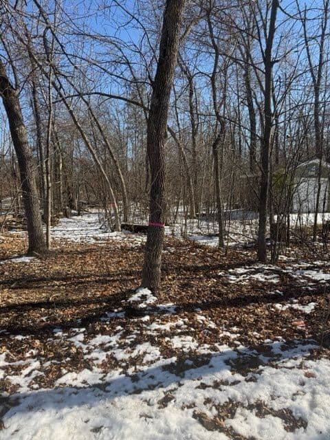 Transformative Landscaping Project in East Gull Lake