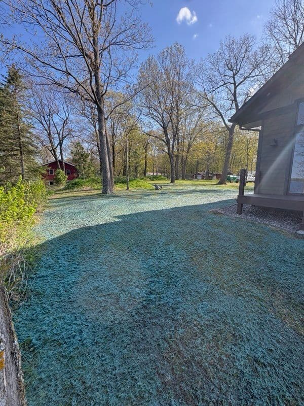 Gallery photos for Lakefront Lawn Transformation in Deerwood MN: Image #2