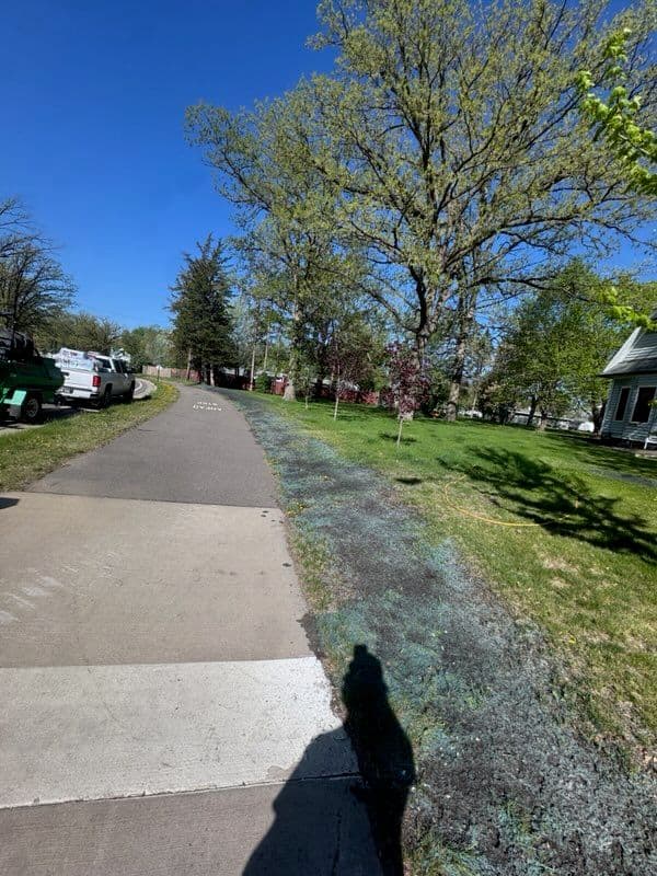 Gallery photos for Lush Hydroseeding Upgrade in Little Falls: Image #1