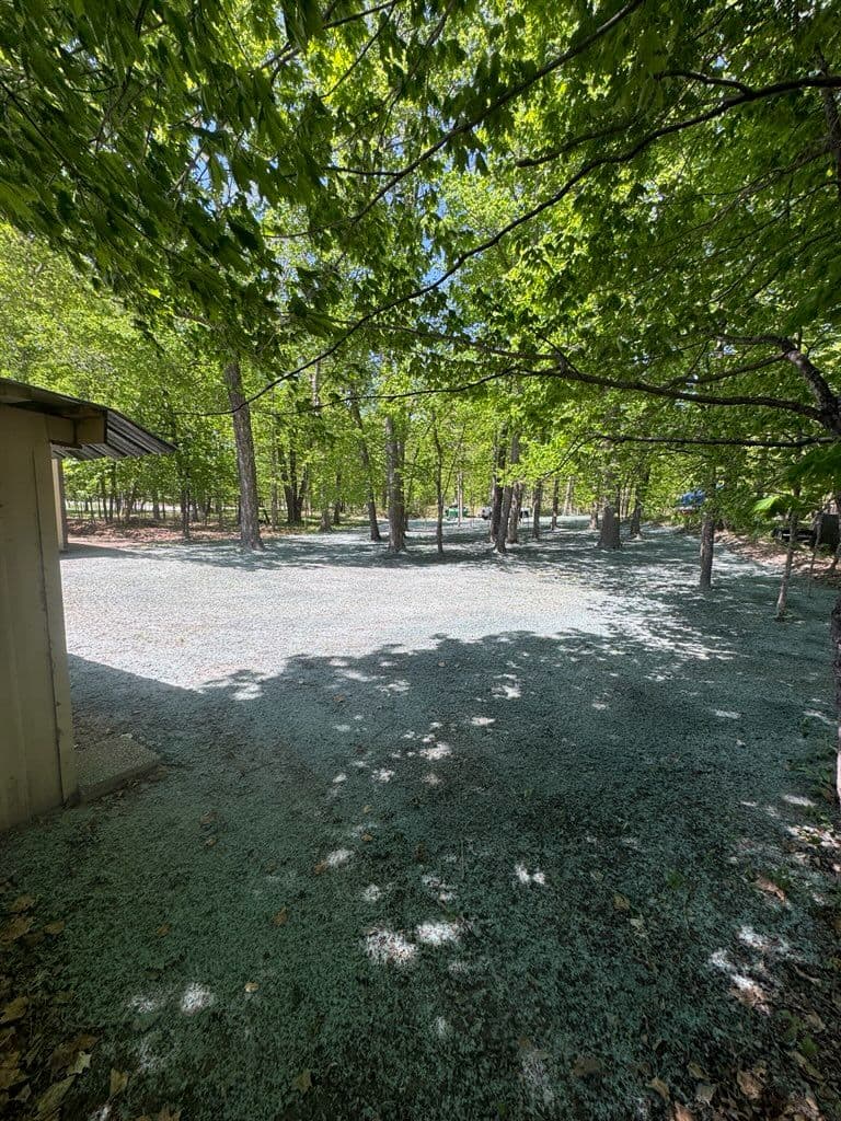 Gallery photos for Transforming Lawns with Expert Hydroseeding in Nisswa MN: Image #1