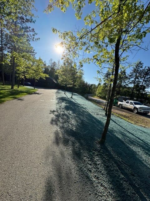 Hydroseeding for Vibrant Lawns at Crosby Lakes