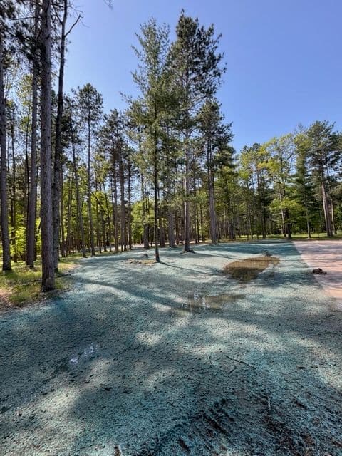 Gallery photos for Enlivening Nature Link Resort with Hydroseeding: Image #2