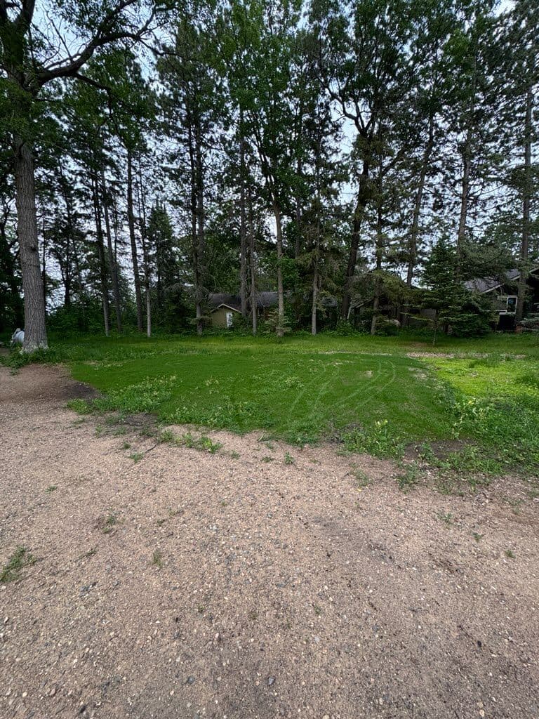 Stunning Lawn Transformation Near South Long Lake