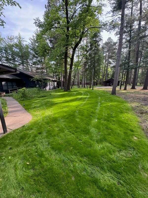 Creating a Green Oasis at Crosslake image