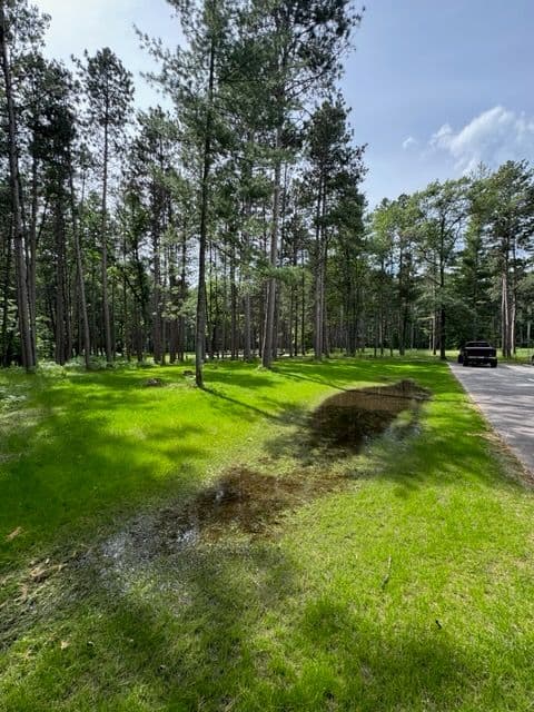 Project Nature Link Resort Landscape Renewal image