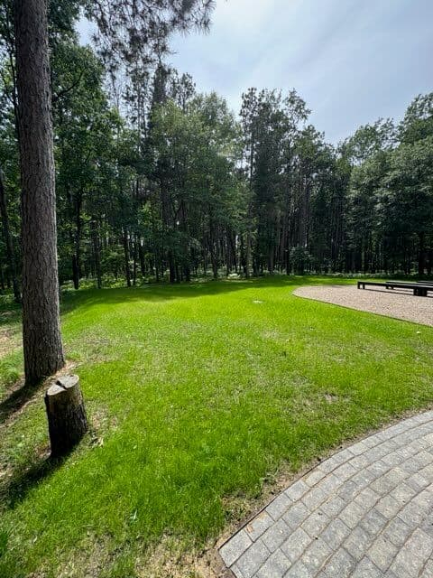 Nature Link Resort Landscape Renewal