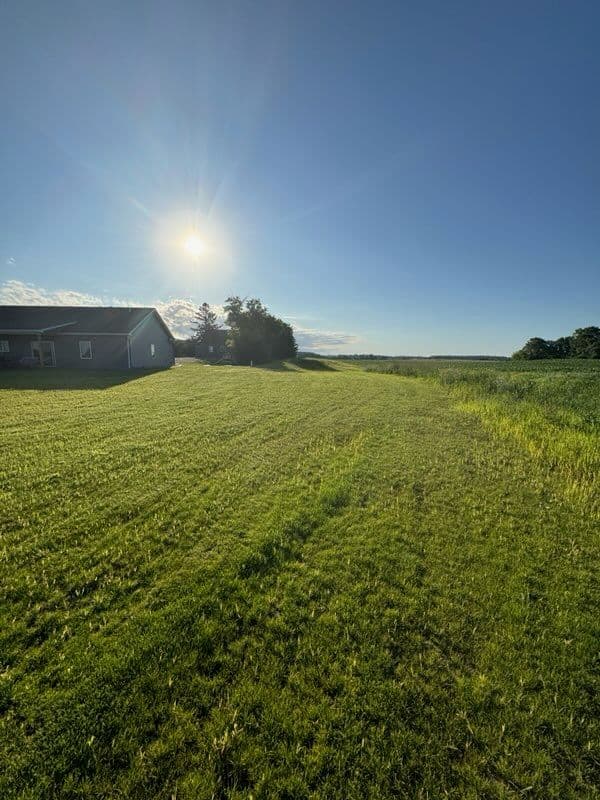 Gallery photos for Lush Lawn Transformation by Erlandson Hydroscapes: Image #2