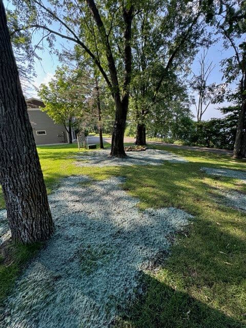 Gallery photos for Lake Edward Lawn Renewal with Hydromulching: Image #2