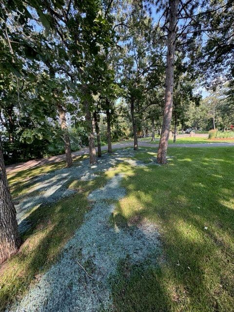 Gallery photos for Lake Edward Lawn Renewal with Hydromulching: Image #3