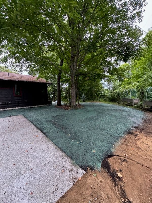 Project Hydroseeding Success in Walker MN image