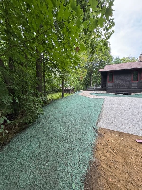 Gallery photos for Hydroseeding Success in Walker MN: Image #1