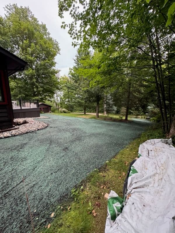 Gallery photos for Hydroseeding Success in Walker MN: Image #2